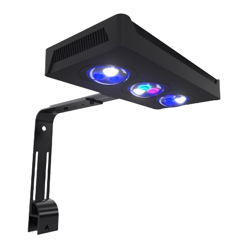 LED Indoor Lamps